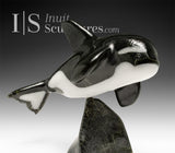 7” SIGNATURE Orca by Johnnysa Mathewsie *Sparks*