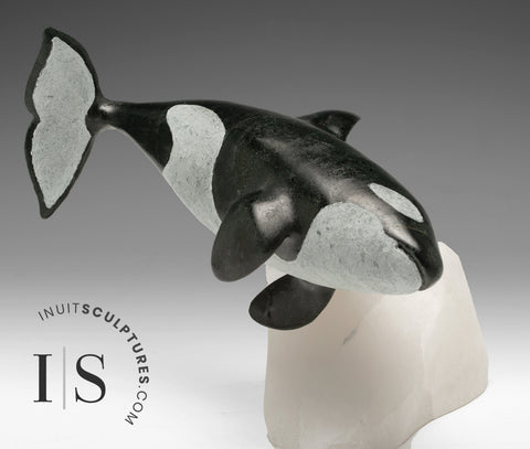 8" SIGNATURE Orca by Derrald Taylor *Catch Me If You Can!*