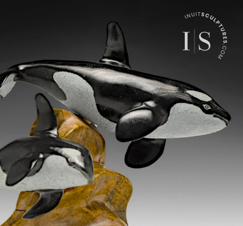 9" Orcas by Derrald Taylor Basil and blue