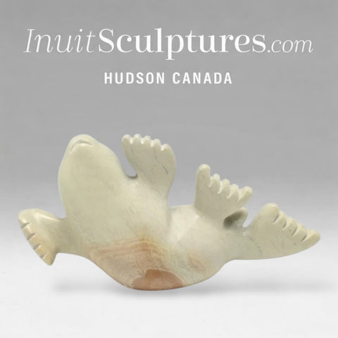 7" Seal by Toonoo Sharky *Bob Sledder*