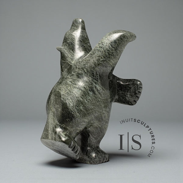 15" Dancing Bear by Noah Parr *Ballroom Blitz*