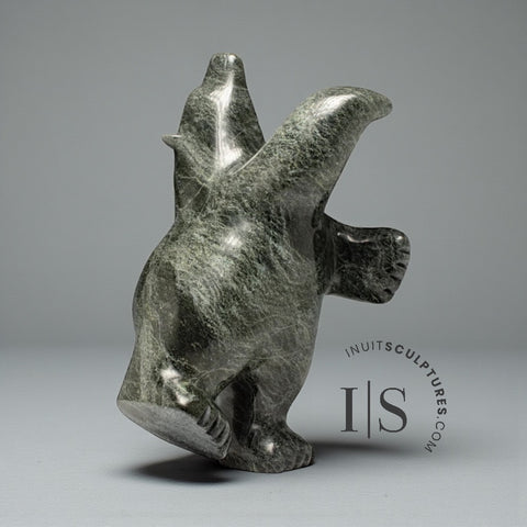 15" Dancing Bear by Noah Parr *Ballroom Blitz*