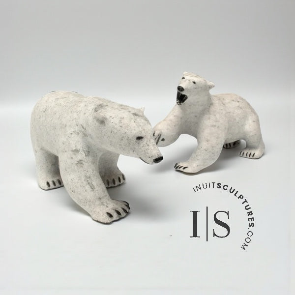 12" Polar Bear by Paul Malliki *Swipe Left*