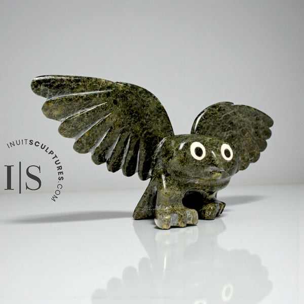 9" Owl by Toonoo Sharky *Minion #1 - Otto*