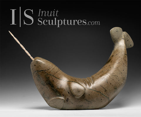 21" Narwhal by Nalenik Temela