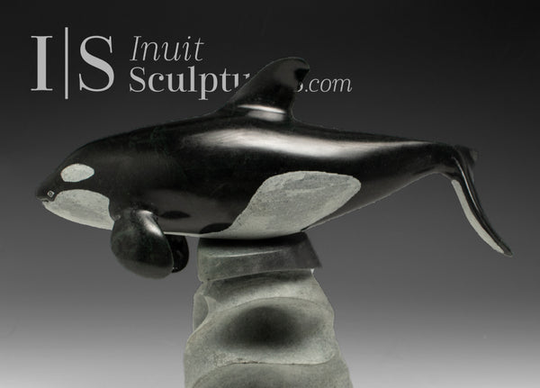 10" SIGNATURE Orca by Derrald Taylor *Europa* CHRISTMAS COLLECTION