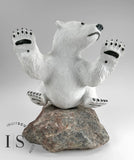 15" Polar Bear Cub on Rock by Paul Malliki *Water Baby* CURATOR'S CHOICE