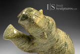 20" Dancing Bear by Nuyalia Tunnillie *Float Like a Butterfly, Sting Like a Bee*