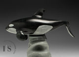 10" SIGNATURE Orca by Derrald Taylor *Europa* CHRISTMAS COLLECTION