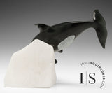 8" SIGNATURE Orca by Derrald Taylor *Catch Me If You Can!*