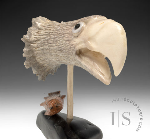 6" Moose Antler Eagle with Fish by Peter K.
