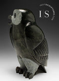 10" SIGNATURE Owl by Pits Qimirpik *Clooney* CURATOR'S CHOICE