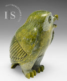 6" SIGNATURE Owl by Pits Qimirpik