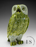 8" SIGNATURE Owl by Pits Qimirpik