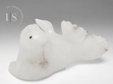 7" Basking Seal by Mosha Ragee *Marshmallow Dream*