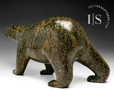 13" SIGNATURE Walking Bear by Tim Pee *Callisto* CHRISTMAS COLLECTION