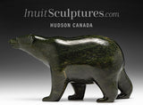 8” SIGNATURE Walking Bear by Tim Pee *Mattie*