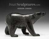 8.5" SIGNATURE Walking Bear by Tim Pee *Just Another Bruins Fan*