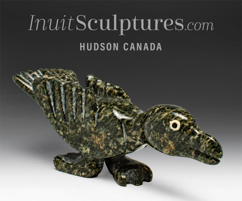 6" Raven by Toonoo Sharky