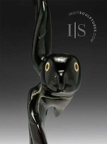 8" Owl by Toonoo Sharky