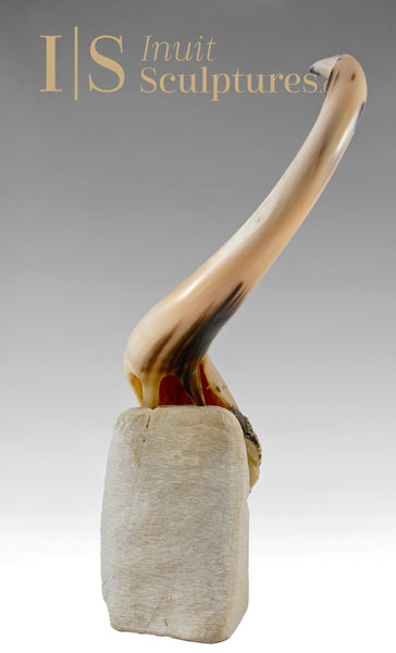 14" Regal Crane by Moses Kamookak Gjoa Haven *Romeo*