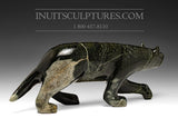 13" Prowling Fox by Kellypalik Etidloie