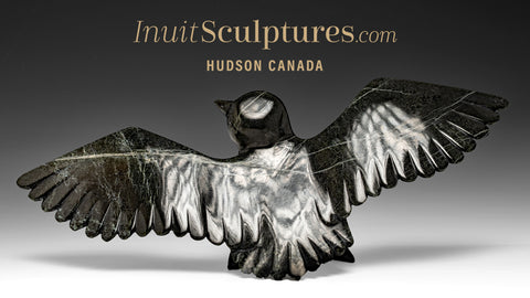 16" Hawk by Killiktee Killiktee *Heavens Above*