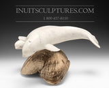 12" Mother Beluga & Calf by International Master Carver Looty Pijamini