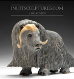 13" Iconic Masterpiece Muskox by Lucassie Ikkidluaq