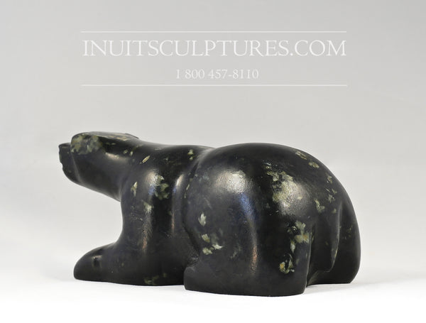 7" Lying Bear by Louie Uttaq