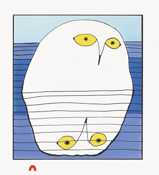 2019 Owl’s Reflection by NINGIUKULU TEEVEE