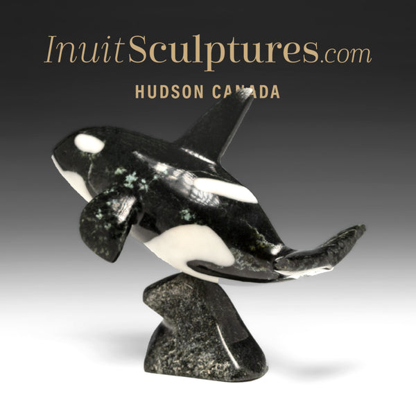 7" SIGNATURE Orca by Johnnysa Mathewsie  *Speed of Light*