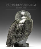 9" Large Grey Owl by Pitseolak Qimirpik