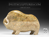 12" Muskox by Seepee Ipeelie (1940-2000)