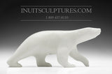 9" Majestic Walking Bear by Bill Nasogaluak