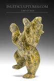 8" Dancing Bear by Qavavau Shaa