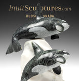 11" Proud Mother & Calf Orcas  Master Carver Derrald Taylor