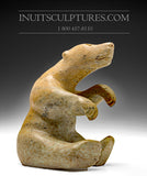 7" Sitting Bear by Jonasie Faber