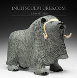 20" Muskox by Elite Carver Lucassie Ikkidluaq *Windswept Warrior*