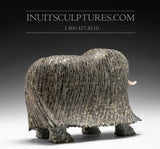 8" Bronze / Grey Iconic Masterpiece Muskox by Lucassie Ikkidluaq