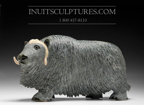 21" Iconic Masterpiece Muskox by Lucassie Ikkidluaq