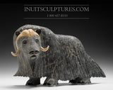 13" Iconic Masterpiece Muskox by Lucassie Ikkidluaq