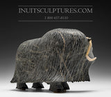 13" Iconic Masterpiece Muskox by Lucassie Ikkidluaq