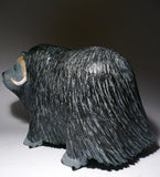 11" Muskox by Lucassie Ikkidluaq