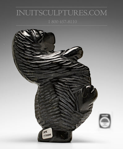 8" Dancing Muskox  by Pitseolak Qimirpik *Chester*