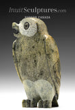 8" SIGNATURE Owl (rare colour stone) by Pits Qimirpik *Julius*