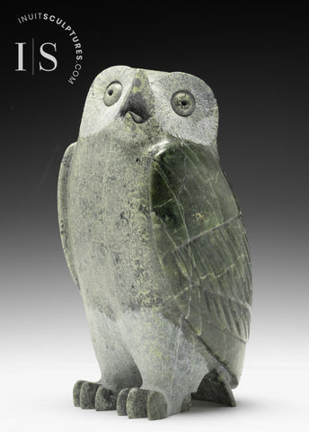 7" SIGNATURE Owl RARE Pale Green Stone by Pits Qimirpik *Duchess*