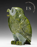 7" SIGNATURE Owl by Pits Qimirpik *Sassy*