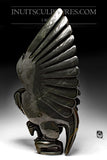 26" SIGNATURE Dancing Owl by Toonoo Sharky *Night Stalker*