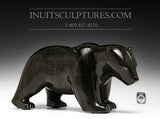 18" Powerful Walking Bear by Tuk Nuna